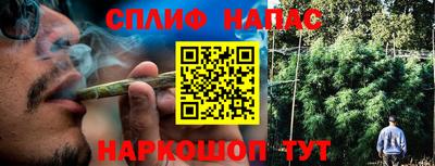 PSILOCYBIN Бердск