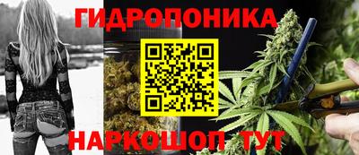 PSILOCYBIN Бердск