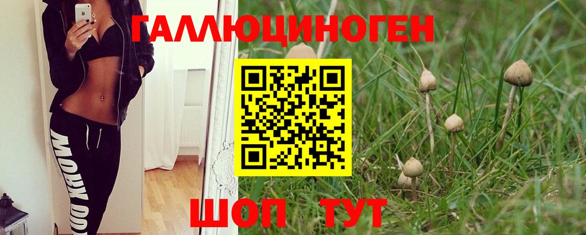 Галлюциногенные грибы Magic Shrooms Черняховск